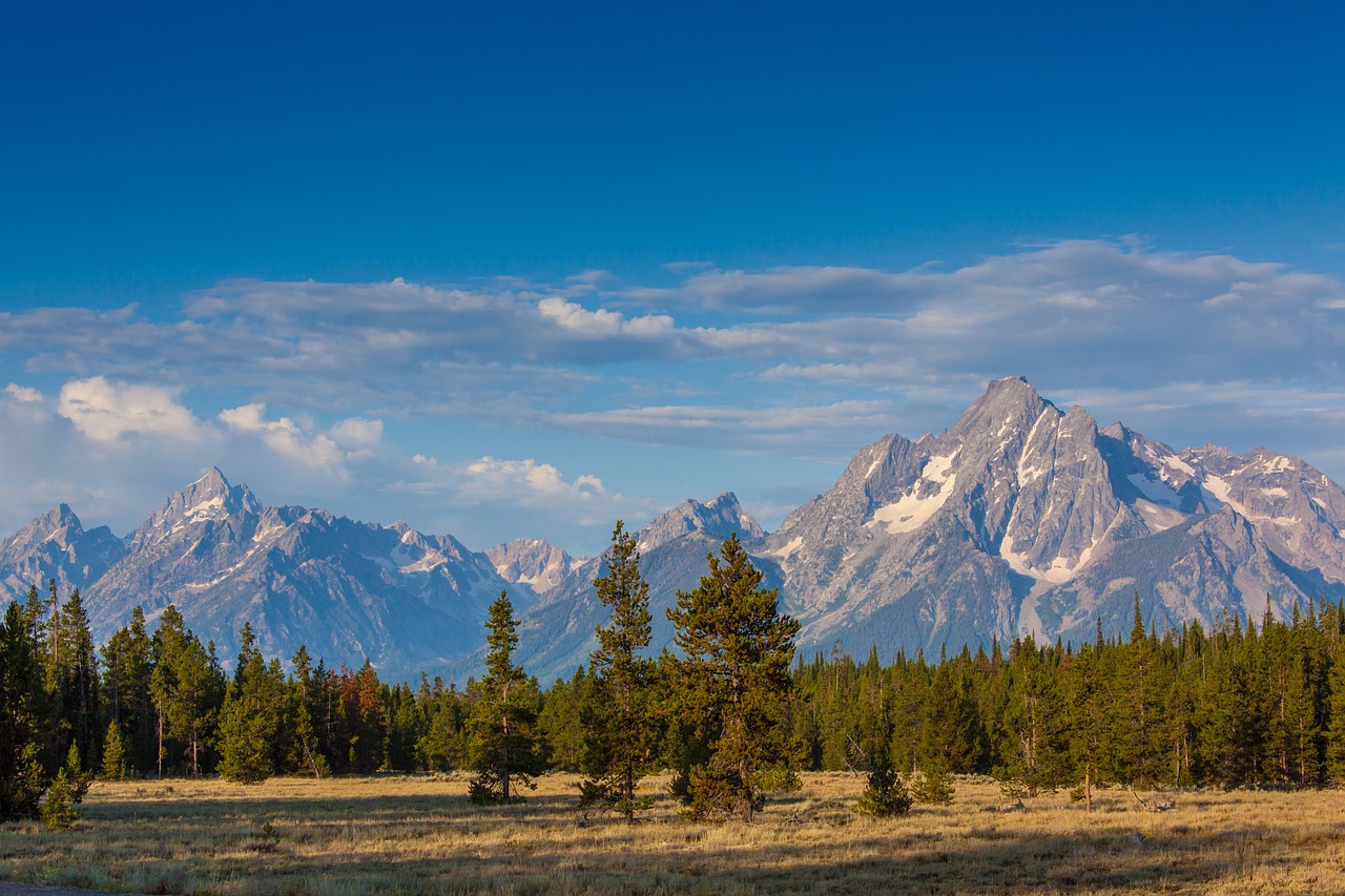 Discovering the Secret Hot Springs of Yellowstone